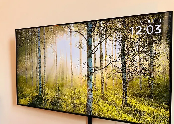 Klassen - Exklusive Altbau - Zentral - Rheinnaehe Coblenza